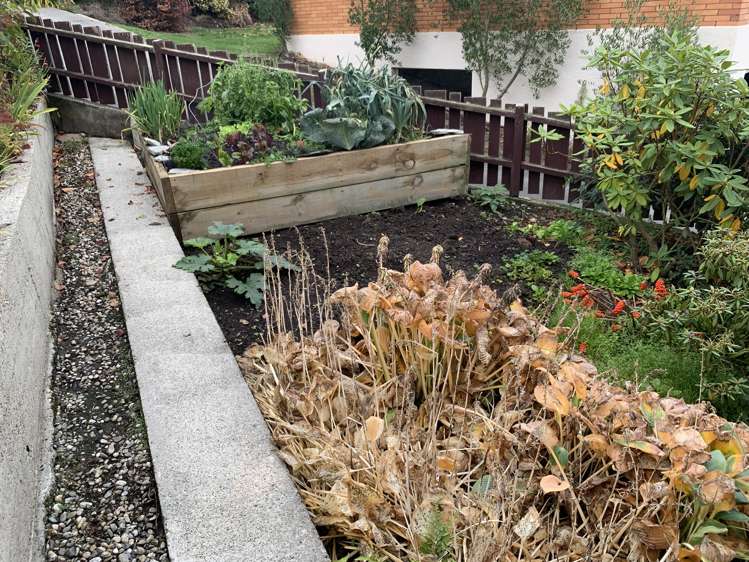 69 Frances Street Balclutha_16