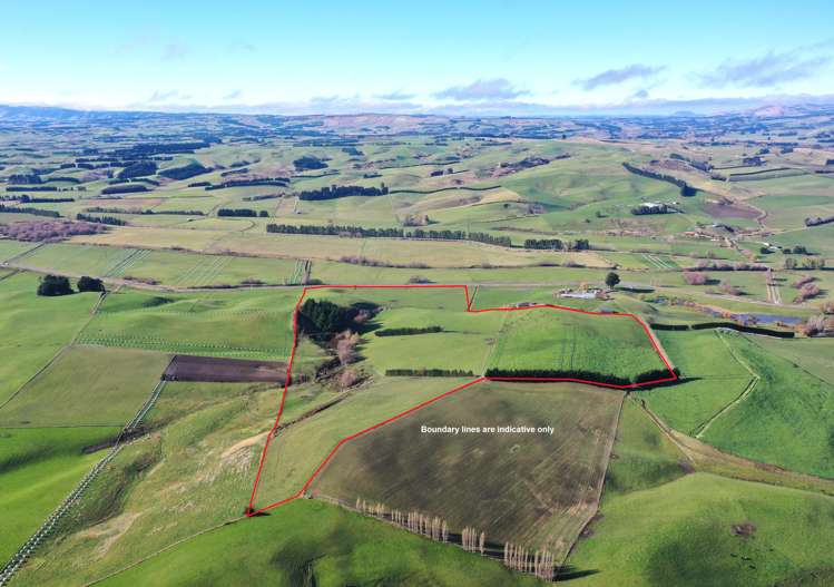 187 Waikaka Valley Highway Willowbank_2