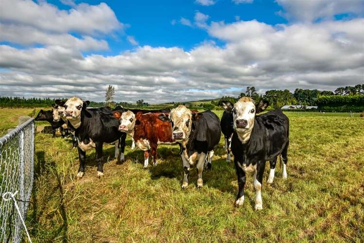 106 Searles Road Sheffield_15