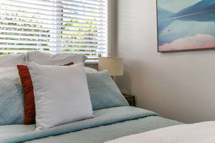 11b Highbury Street Avondale_16