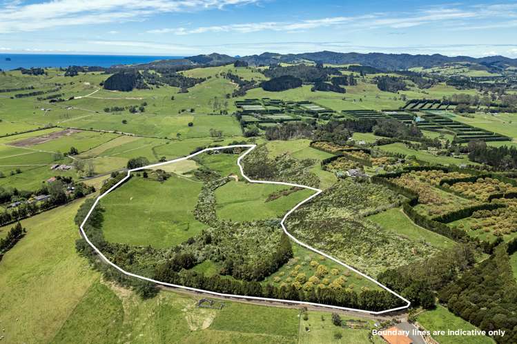 89 Purangi Road Purangi_28