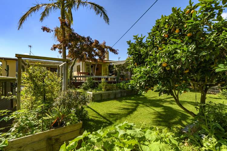 15a Hilltop Road Parkvale_29