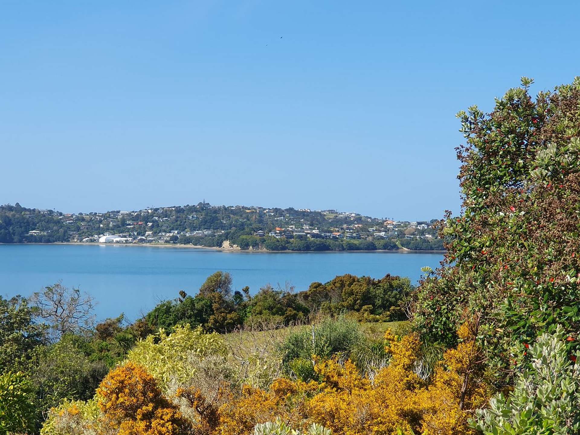 5/3 Swann Beach Road Stanmore Bay_0