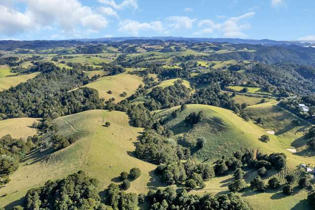 Te Toiroa Road Ngunguru_4