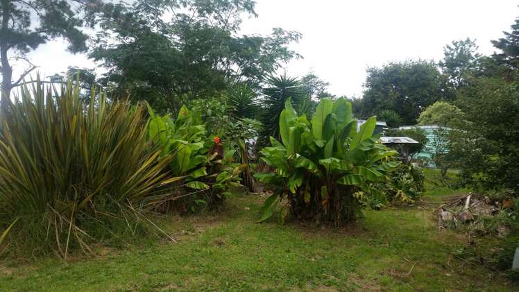 74 West Road Awanui_13