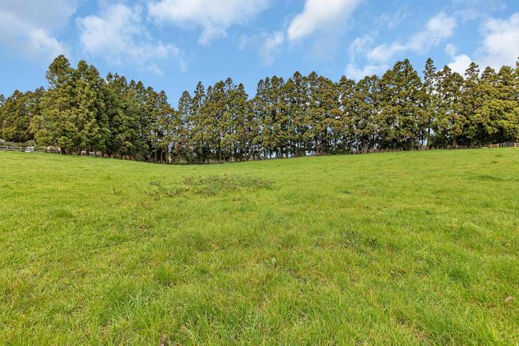 135 Apotu Road Kauri_7