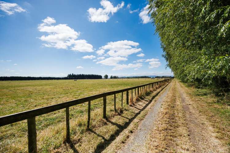 571 Kairanga Bunnythorpe Road Milson_6