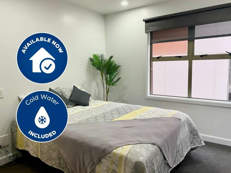 5a/125a Hobson Street Auckland Central_0