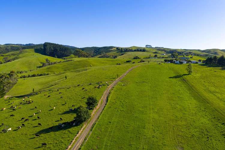 165 Rotowaro Road Huntly_2