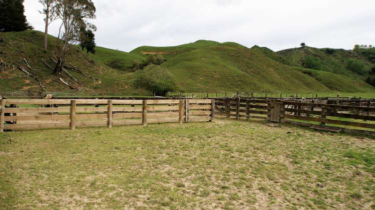 450 Ramaroa Road Aria_7