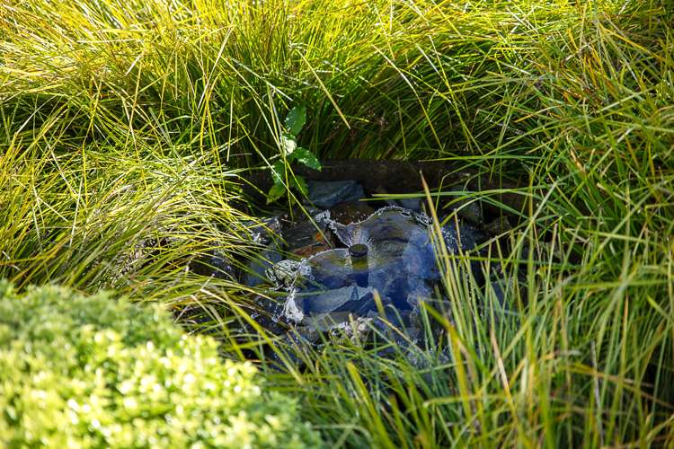 14 Grigg Drive Witherlea_38