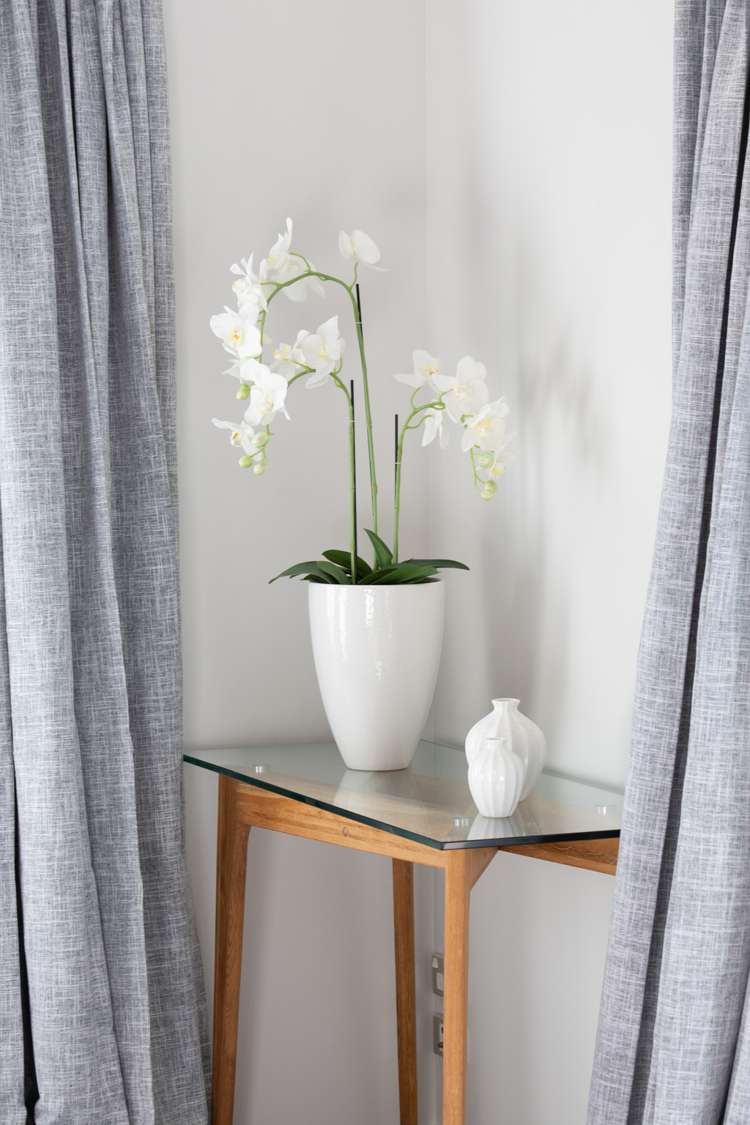 229c Main North Road Redwood_18