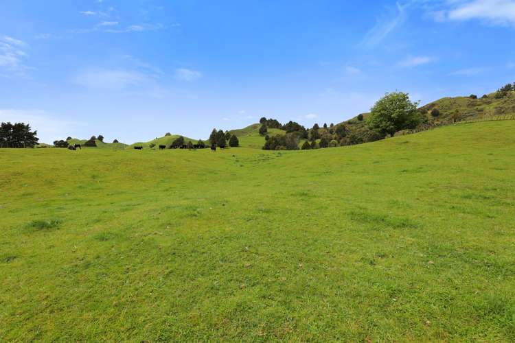 205 Tunanui Road Owhango_11