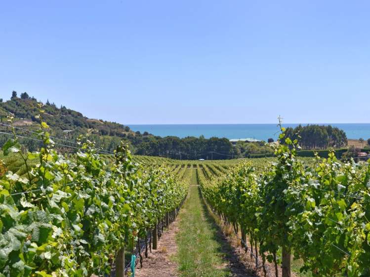 166 Kina Beach Road Tasman_6