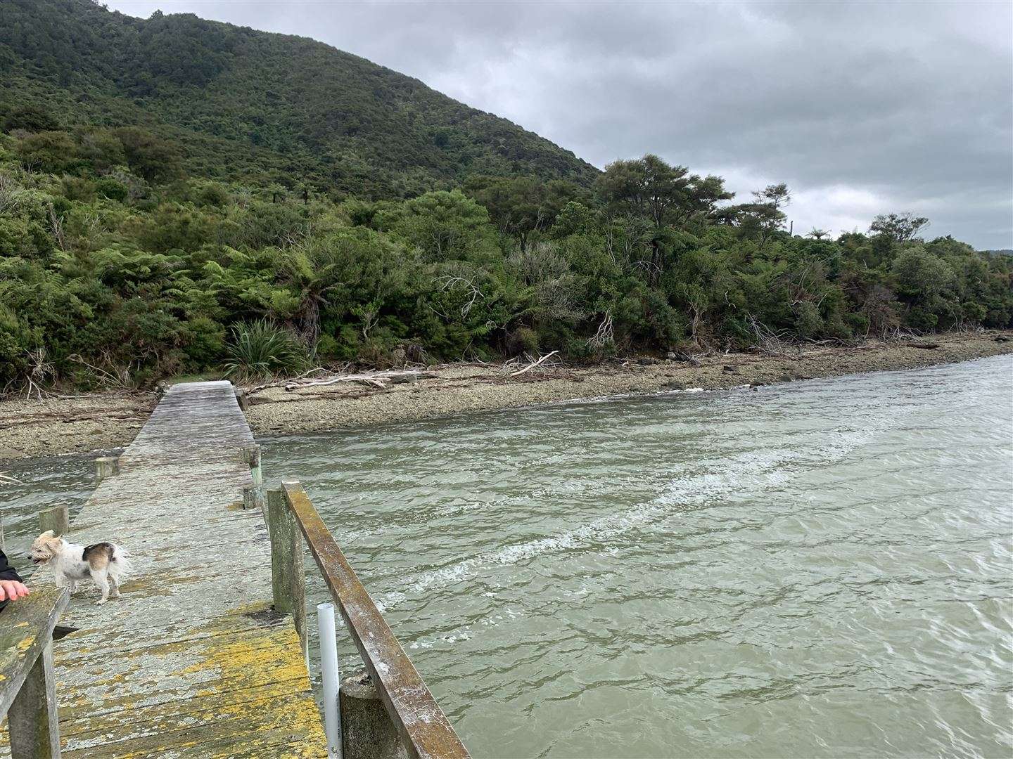 Sold One Tree Point, Hikapu Reach, Pelorus Sound Marlborough Sounds