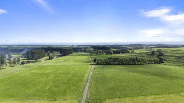 Diverse income steams and purchase options