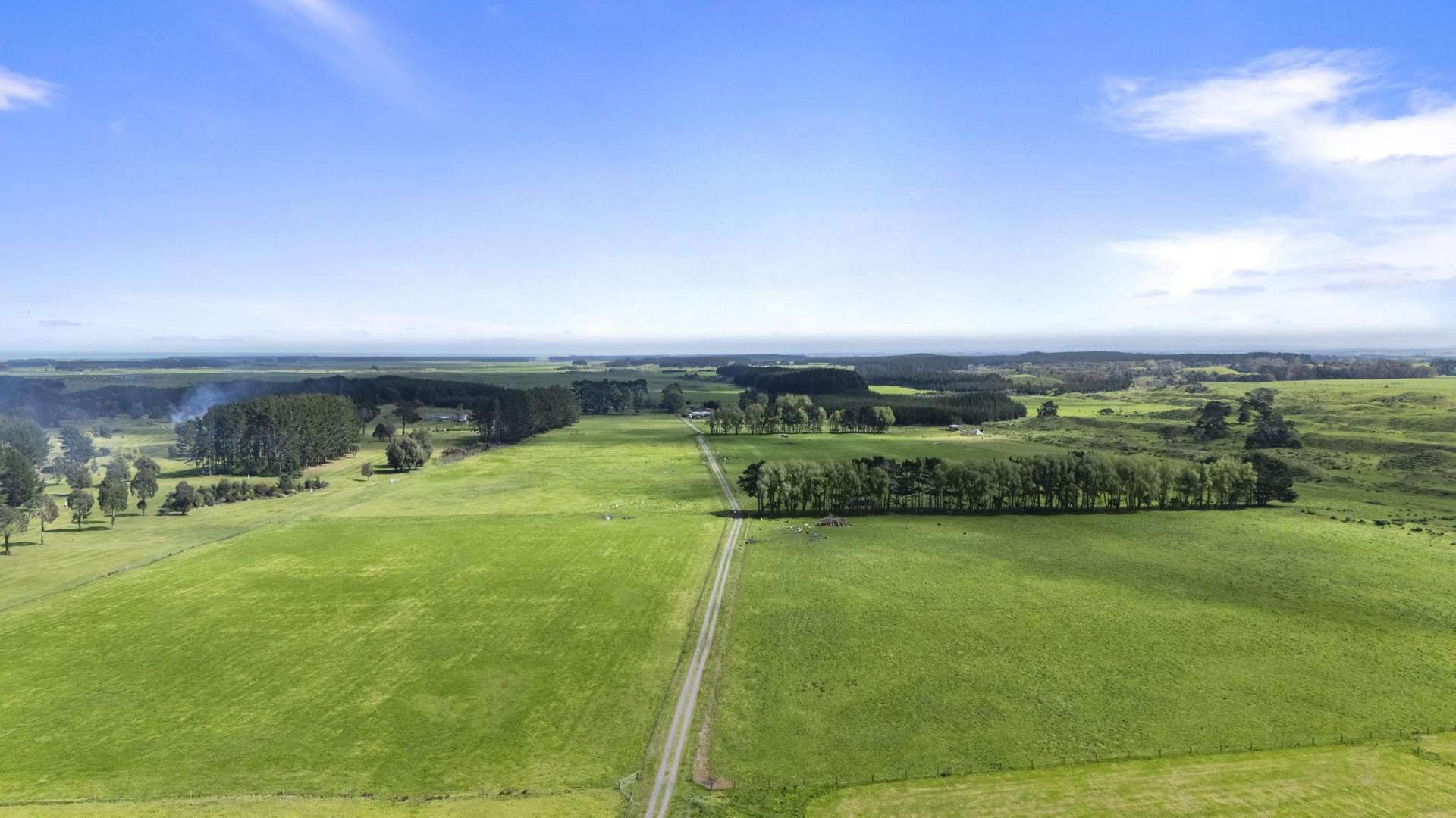 Santoft Road Bulls_0