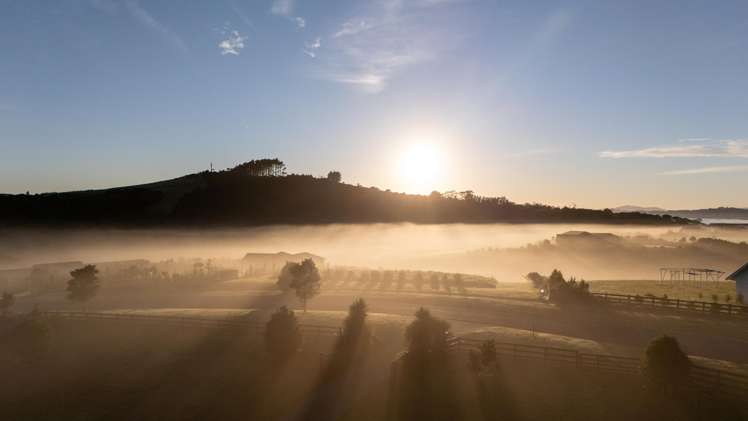 6 Fernbird Grove Kerikeri_10