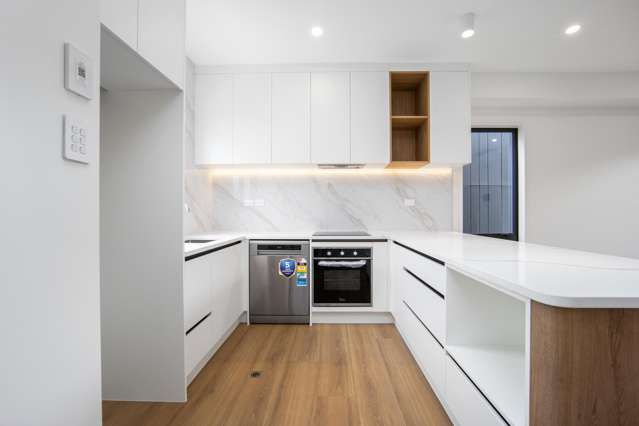 3B Range View Road Mount Albert_3