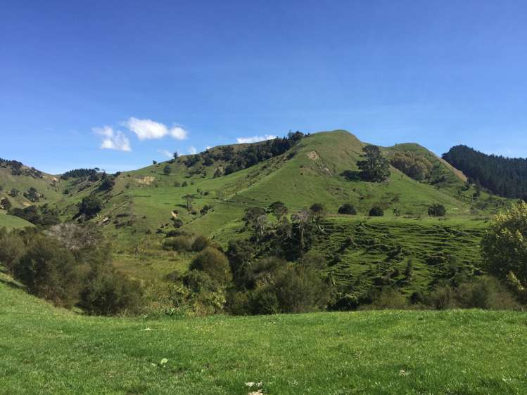 547 Papaiti Road Papaiti_8