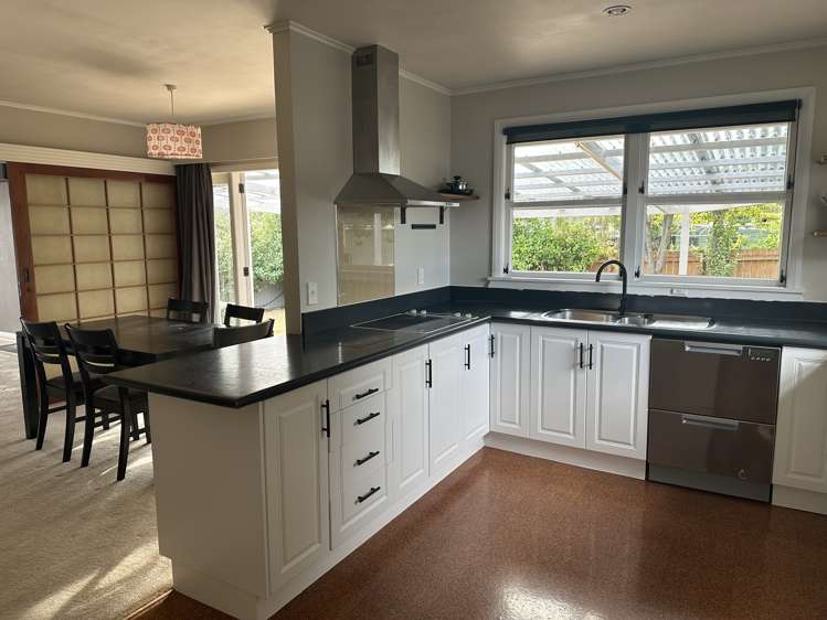 173 Redwood Street Witherlea_3