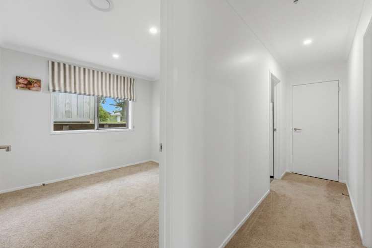 9A Wicksteed Street Vogeltown_21