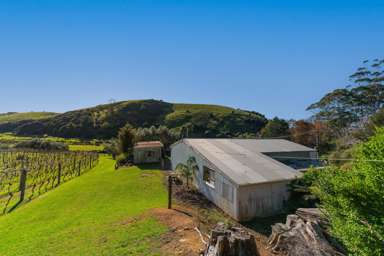 Lot 1, 4, and 9 Mahinepua Road_4