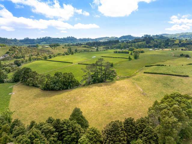 50 Franklin Road Waihi_4