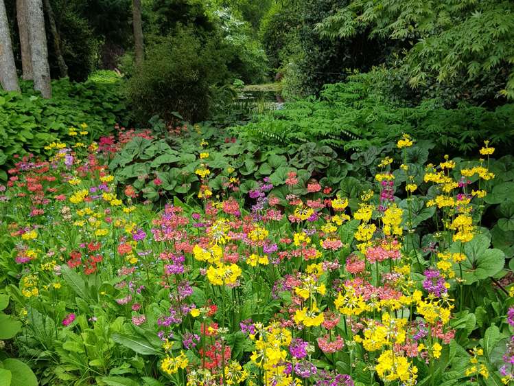 60 Grammar Street Kimbolton_8