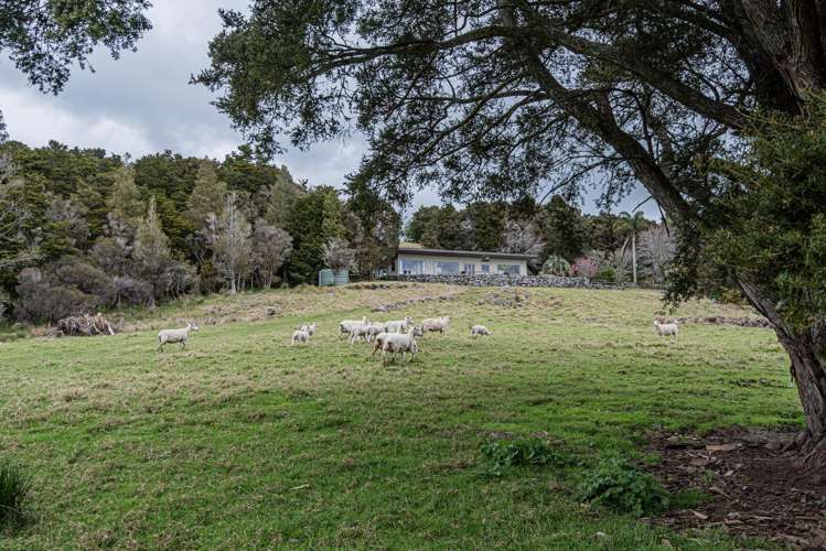 415 Crane Road Kauri_27