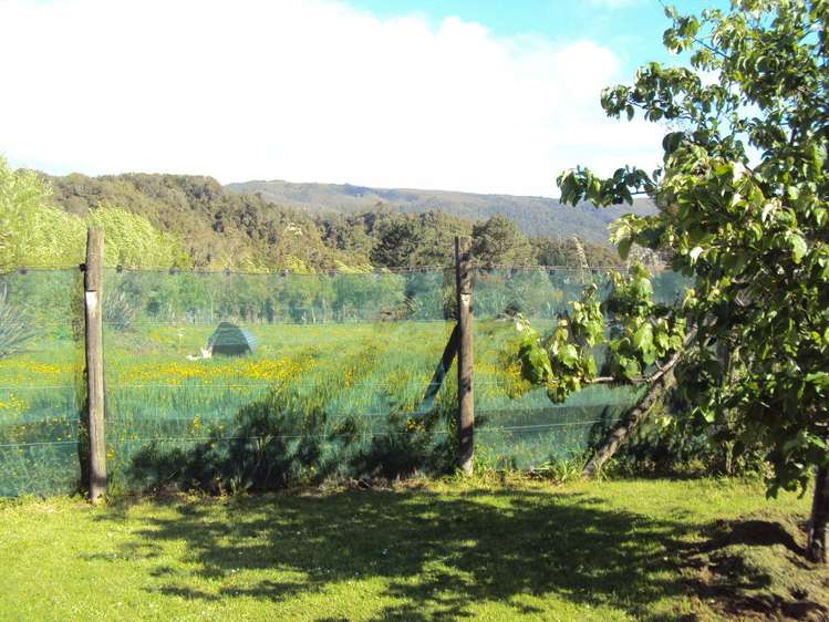 46 Mcgill Street Waimangaroa_11