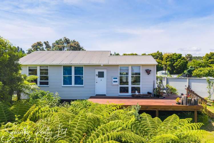 21 Ngatoto Road Tinopai_12