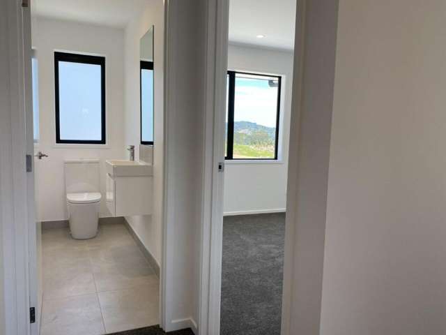 354 Whitehills Road Dairy Flat_4