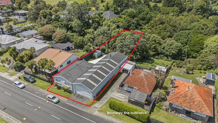 415 Carrington Street Upper Vogeltown_0