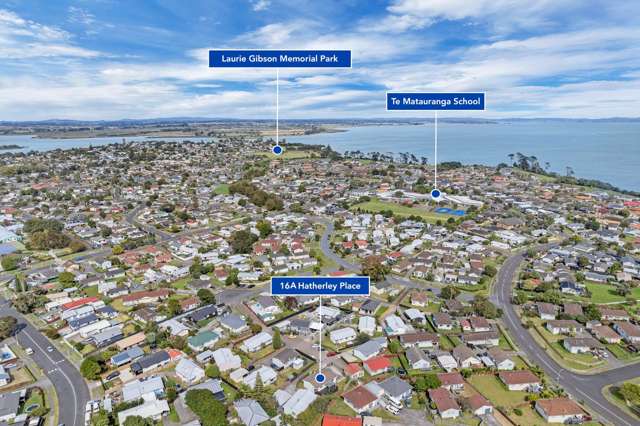 16A Hatherley Place Clendon Park_2