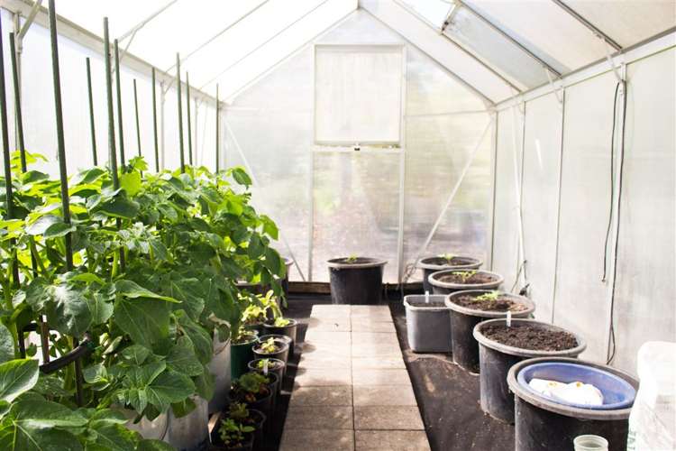 17 Ardilea Avenue Stoke_27