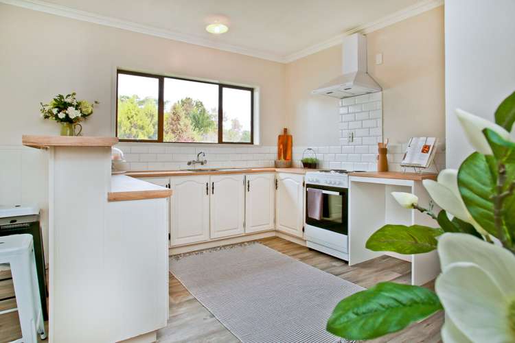 24 Hibiscus Avenue Hamilton Lake_7