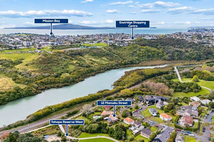 12 Mamaku Street Meadowbank_15