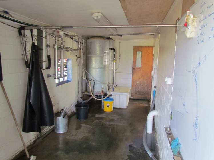 353 Wilson Road Pakotai_8