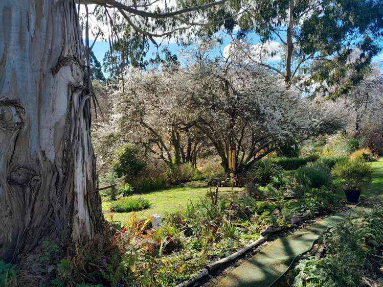 - Derby Street Hampden_8