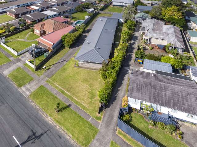 132 Astley Avenue New Lynn_3