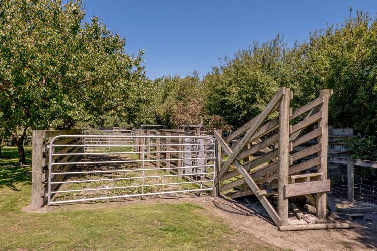 177 Heywards Road Clarkville_43