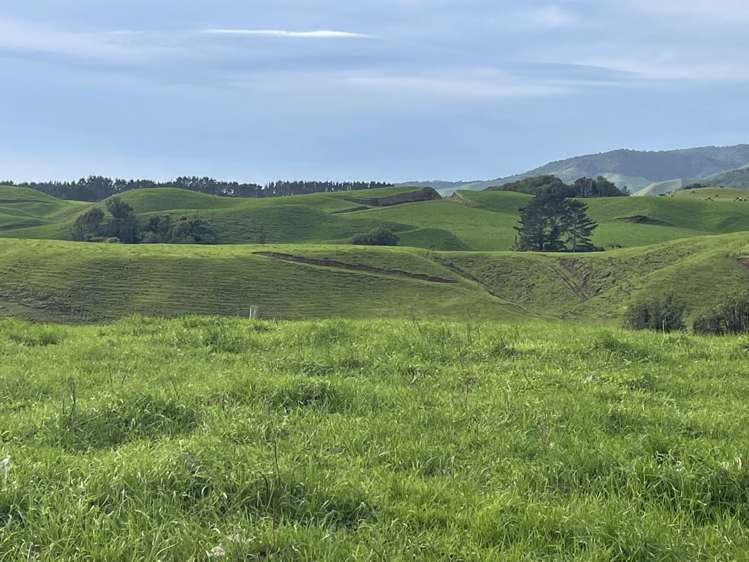 319 Dover Road Okato_5