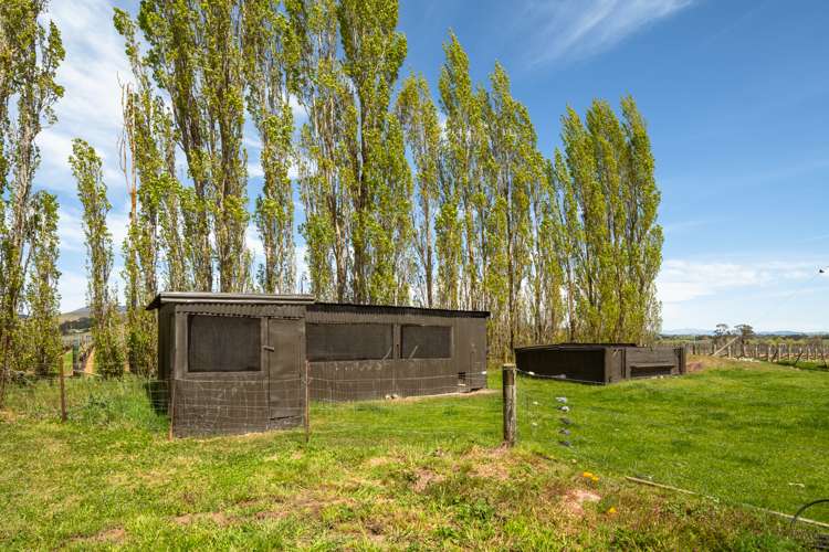 201 New Renwick Road Burleigh_29