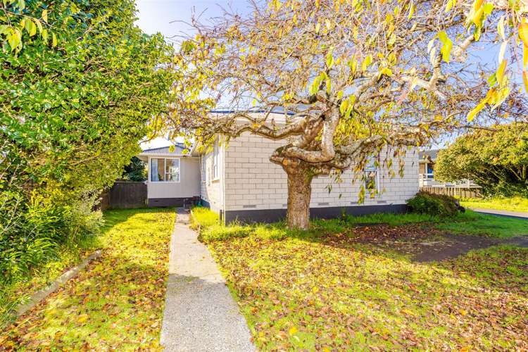 20 Aileen Place Nawton_19