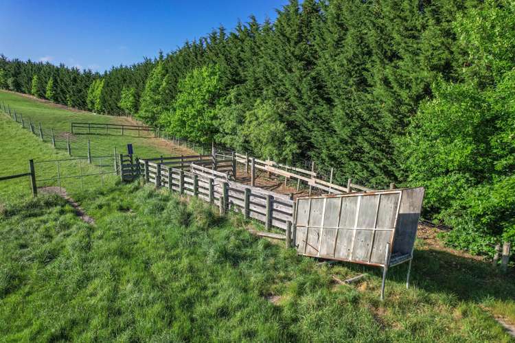 102 Scargill Valley Road Greta Valley_16