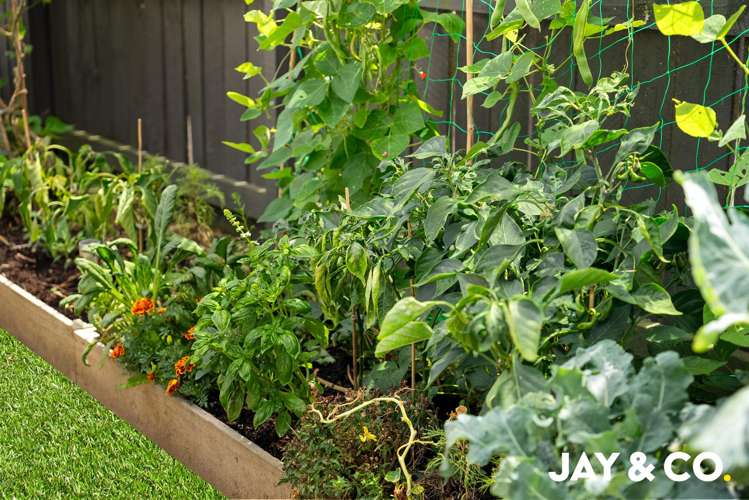 1/90 Kelvin Road Papakura_11