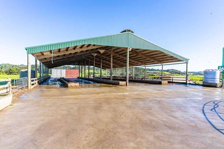 454 West Coast Road Te Kopuru_6