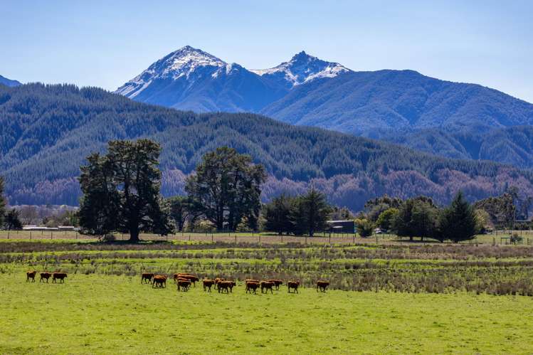 3487 State Highway 63 Wairau Valley_10