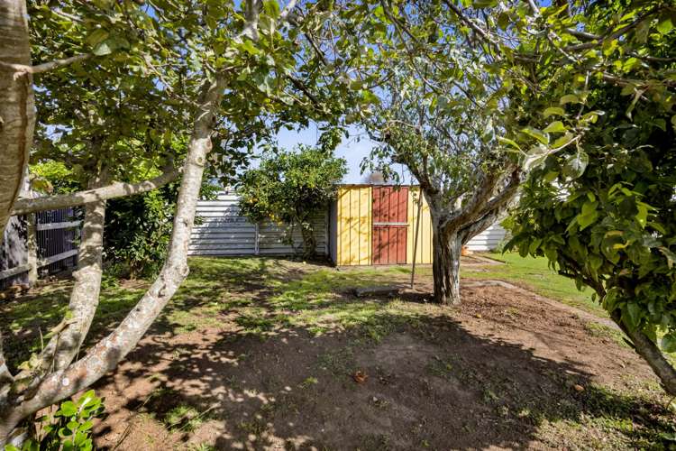 21 Robson Street Normanby_27